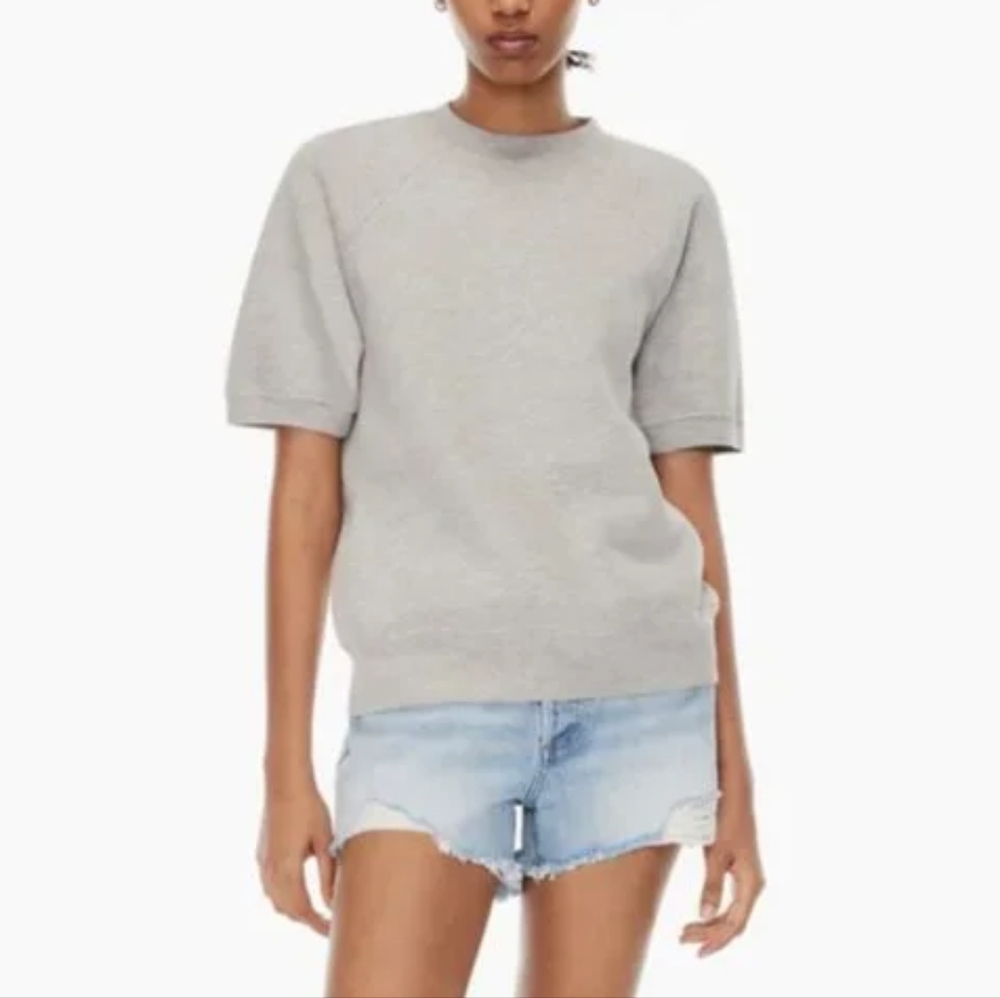Aritzia Denim Forum 70s Raglan Short Sleeve Sweatshirt Grey Size S